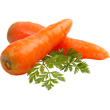 Shree Agro Agencies
