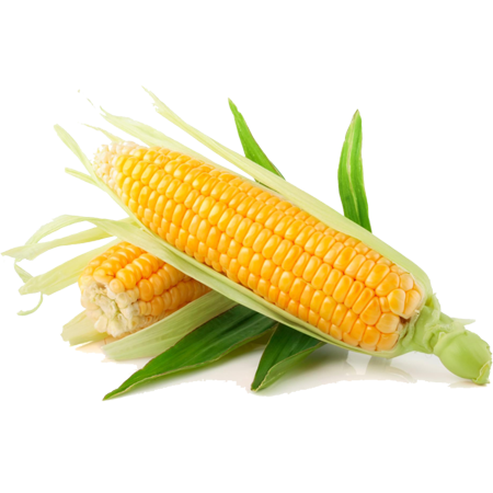 Shree Agro Agencies
