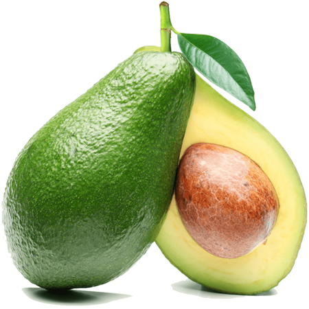 Shree Agro Agencies