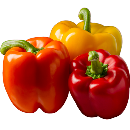 Shree Agro Agencies