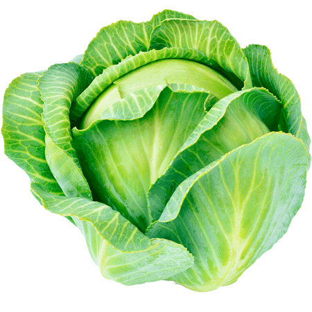 Shree Agro Agencies
