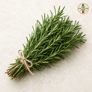 Rosemary Seeds